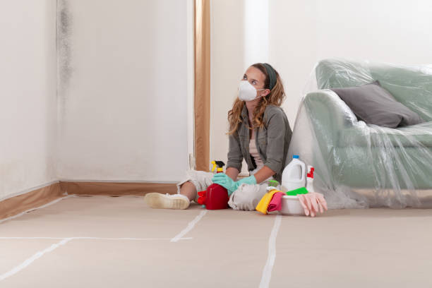 Reliable Mold Removal contractor in Irving, TX by WQB Mold Removal